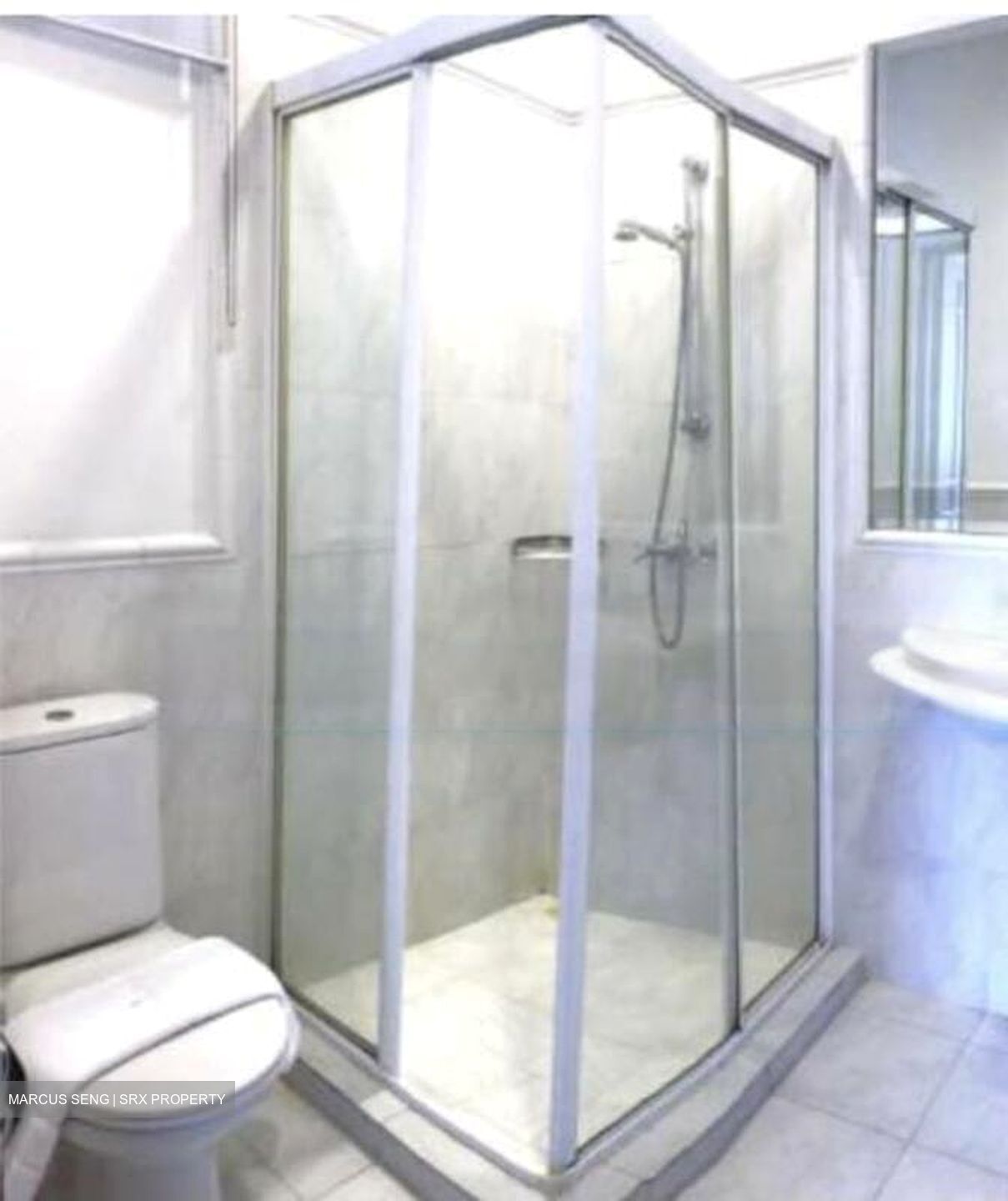 Joo Chiat Place (D15), Condominium #460677851